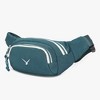 Hynes Eagle The Wander Waist Bag-Dark Green - 3 of 4