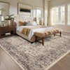 Coolmee Washable Area Rug Antique Distressed Rugs for Living Room Vintage Non Slip Modern Bedroom Carpet Stain Resistant Rug - 3 of 4