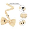 Allegra K Men's Halloween Polka Dots Pre-Tied Work Formal Party Tuxedo Bowknot Bow Ties - 3 of 4