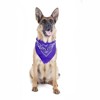 Mechaly 4 Pack Paisley Polyester Pets Dogs Bandana Triangle Shape  - Oversized - 2 of 4