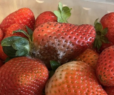 Guest review image 1 of 2, zoom in