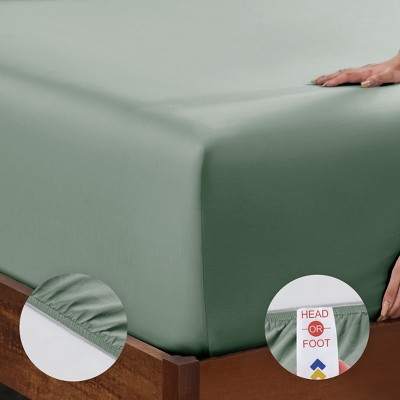 Sage Green Twin XL Cotton Sateen Sheet Set