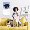 2026 Square Wall Calendar, Dogs in the Wind, 16-Month Humor Theme with 180 Reminder Stickers (12x12 In) - 2 of 4