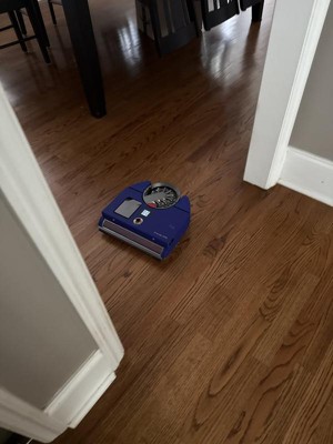 Guest review image 1 of 2, zoom in