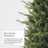 Fraser Slim Fir 6.5ft Christmas Tree Pre-Lit Artificial with 2,725 Branch Tips & 640 Low-Voltage Warm LED Lights, Foldable Stand - 3 of 4