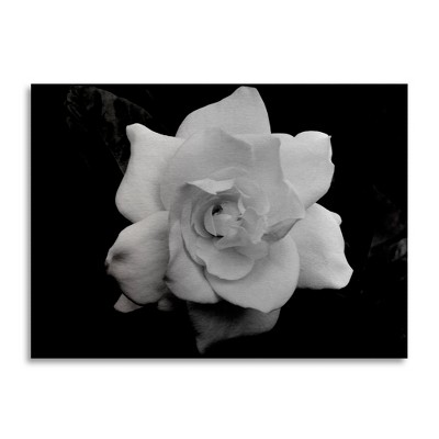 Kurt Shaffer 'Gardenia In Black And White' Floating Brushed Aluminum Art