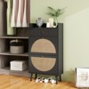 ALEXOUN Freestanding Shoe Rack with 2 Flip Drawers & 1 Drawer for Home Entryway, Living Room, Bedroom Small Spaces,Black - 2 of 4