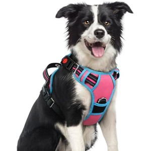 rabbitgoo Dog Harness Medium Sized, No Pull Dog Vest with 3 Buckles, Adjustable , Rose Pink & Blue, M - 1 of 1