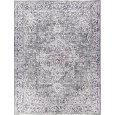 Nourison New Concept Washables Vintage Indoor Area Rug