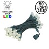 Novelty Lights 50 light G20 Globe LED Christmas Mini Light Set (Green Wire, 25.5 Feet) - 2 of 4
