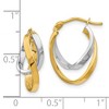 Black Bow Jewelry 14k Two Tone Gold Double Freeform Hoop Earrings, 17mm (5/8 Inch) - 4 of 4