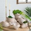 NAYSAYE Planter Sand and Cement Nautilus Shell Planter with Textured Beige Finish for Indoor Outdoor Garden, Beige, 11.5"*7"*7" - 4 of 4