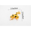 Collectible Wildlife Gifts | Frog, Orange and Black Poison Dart Frog, Plastic Toy, Realistic, Rainforest, Model, Gift,    3"    F4095 B54 - 2 of 4