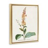 Stupell Industries Scientific Botanical Plant Floating Frame Canvas Art - 2 of 4