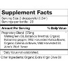Dr. Schulze's Deep Tissue Oil- Herbal Support for Muscles, Tendons & Joints - 2 of 4