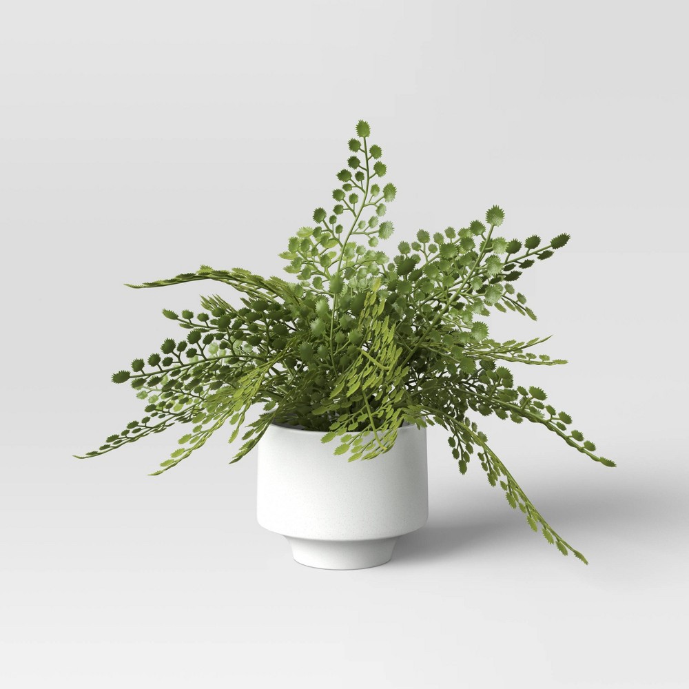 Small Fern in Modern Pot Maiden Hair Arrangement - Threshold™(Case Of 2) 