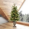 Vickerman Potted Kenly Pine Artificial Christmas Tree - 4 of 4