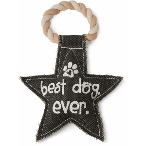 Pavilion Gift Company - Best Dog Ever - 9.5" Canvas Dog Toy on Rope - Pet Toy - 1 of 4