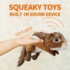 Allforpaws Classic - Dog Toys - Squeaky Dog Chipmunk Toys for Dogs - 2 of 4