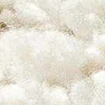 off white, dark purple, medium gray, medium brown, gray