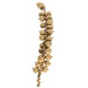 Vickerman Natural Botanicals Canella Cobs Natural 2.2 Lb Bag This is a dried, preserved natural product. - image 2 of 4