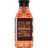 SToK Pumpkin Creamed Cold Brew Coffee - 48 fl oz - image 4 of 4
