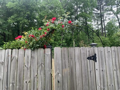 Guest review image 2 of 3, zoom in