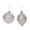Transpac Glass 5.5 in. Multicolored Christmas Painted Cardinal Ornament Set of 2 - 3 of 4