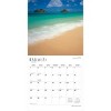 BrownTrout Hawaii Wild and Scenic 2026 12"x24" Hanging Square Wall Calendar Plastic-Free - 3 of 4