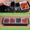 Aoibox 2-Piece Ice Cooled Condiment Serving Container with Lid, Plastic Fruit & Veggie Caddy Organizer for Parties, Beach, Iced Drinks - 3 of 4