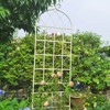 Lirago 86.7"H * 19.7"W * 1"D,4 Pack Metal Garden Trellis Rustproof Climbing Plant Support for Outdoor Flowers, Vines, Vegetables White Powder-Coated - 3 of 4