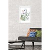 Trends International Botanical Collection - Wild Flowers Framed Wall Poster Prints - 2 of 4