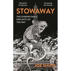Stowaway - by Joe Shute - 1 of 1