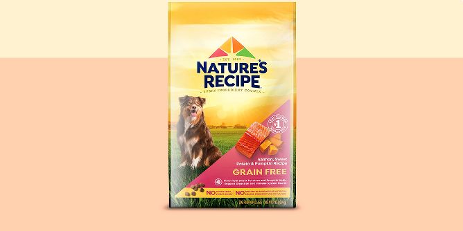 Nature's recipe shop dog food target