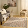 Nourison Contemporary Nordic Rug - 4 of 4