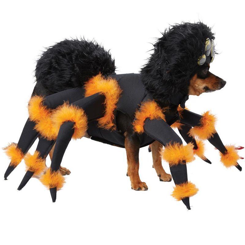 California Costumes Spider Pup Pet Costume, X-Small, 2 of 3