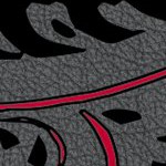 georgia bulldogs
