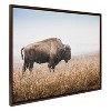 Kate & Laurel All Things Decor Sylvie American Bison Buffalo in Prairie Grass Framed Canvas Wall Art Brown - 2 of 4
