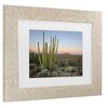 Trademark Fine Art - Alan Majchrowicz Organ Pipe Cactus at Dusk Matted Framed Art - 3 of 4