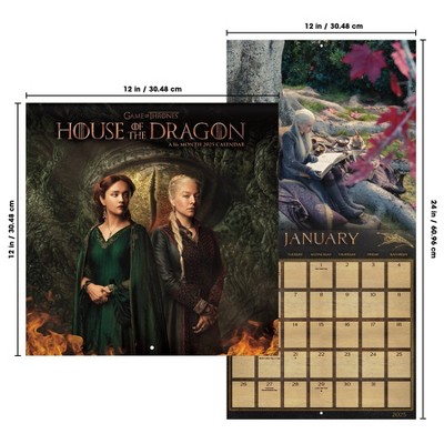 Trends International 2025 Game of Thrones House Of The Dragon Wall Calendar: Monthly Spiral-Bound, 12x12", All Ages