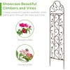 Best Choice Products 60x15in Iron Arched Garden Trellis Fence Panel w/ Branches, Birds for Climbing Plants - Bronze - 4 of 4