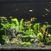 Unique Bargains Aquarium Decorations Arch Bridge Decoration Resin Fish Accessories Blue Brown Green 5.71" Length 1 Pcs - 2 of 4