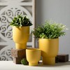Sullivans 8.5", 7.5" & 5.25" Matte Yellow Goblet Planters Set of 3, Ceramic - 3 of 3