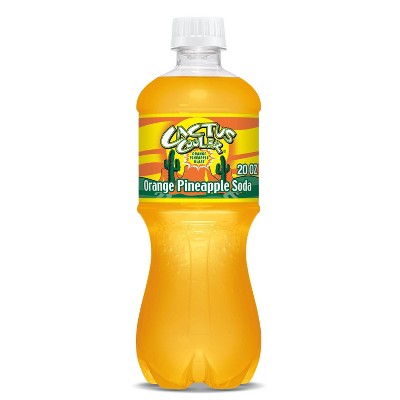 Cactus Cooler Orange Pineapple Soda - 20 fl oz Bottle
