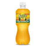 Cactus Cooler Orange Pineapple Soda - 20 fl oz Bottle