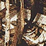 realtree max-5