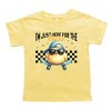 The Juniper Shop I'm Just Here For the Chicks Checkered Toddler Short Sleeve Tee - 3 of 4