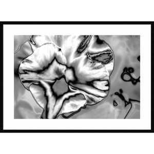 41" x 30" Abstract Flower No 1 November by Richard Booth Wood Framed Wall Art Print - Amanti Art: Modern Botanical Decor, Horizontal Display - 1 of 4
