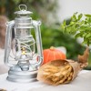 Feuerhand Outdoor Kerosene Fuel Lantern, German Made Weather Resistant Baby Special 276 Galvanized Hurricane Lamp for Camping or Patio, 10 Inches - 2 of 4