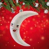 Cody Foster 4.75 In La Luna Tree Ornaments - 4 of 4